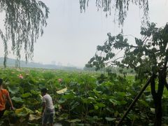 -品腐记·豆腐王朝(老门东总店)