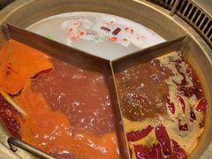 -麻路成都火锅(柏威年店)