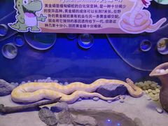 -太奥幻太奇海洋馆