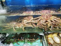 -蚝专家(北滘店)