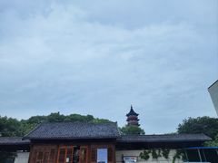 -绳金塔