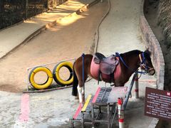 -水濂山森林公园