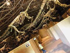 -世界恐龙谷景区