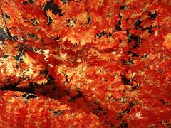 -八次方巴乡石锅鱼·金海湖水库活鱼(谷丰东路店)