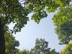 -洨河生态公园