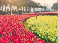 -海心沙亚运公园