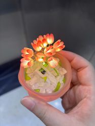 -乐茵敔山湾月子中心(独栋湖景店)