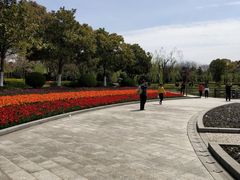 -上海鲜花港