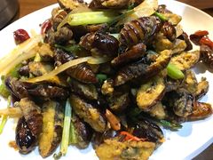 -炉鼎记私房菜(总店)