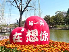 -上海鲜花港