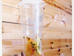 -CoCo都可(建外SOHO店)