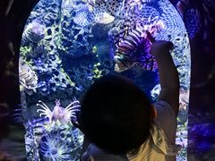 -太平洋海底世界