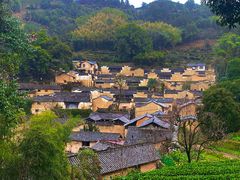 -杨家堂村