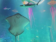 -沈阳海洋探索中心