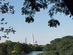 -海珠湖公园