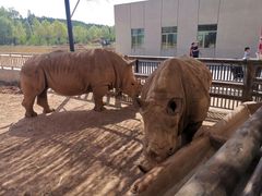 -鄂尔多斯野生动物园