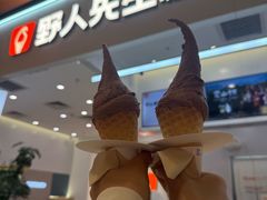 -野人先生现做冰淇淋(北京环宇荟店)