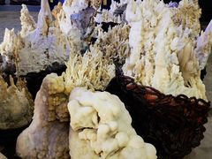 -游龙石文化科普馆