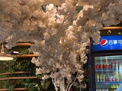 -付掌柜在成都·热炒砂锅集(金禾店)