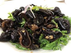 -黄埔华苑酒家(黄埔店)