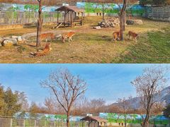 -西安秦岭野生动物园