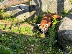 -杭州野生动物世界