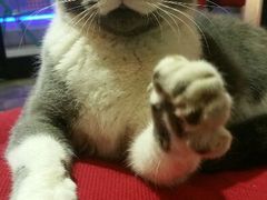 android_upload_pic-MIKAKU(万达广场上海宝山店)