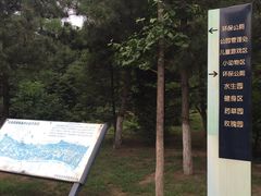 -长白岛森林公园