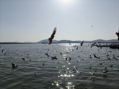 景点-蠡湖大桥公园