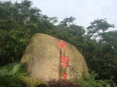 -野狸岛