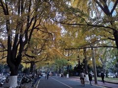 -四川大学(华西校区)