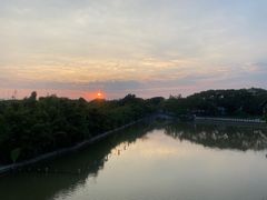 -江心屿景区