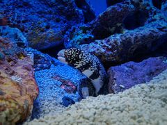 -上海海洋水族馆