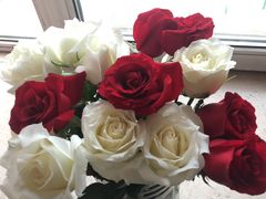 -长春宾馆·丽豪浴都