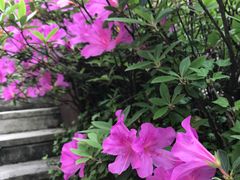 -星巴克臻选(杭州良渚文化村店)