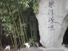 -西安乐游原