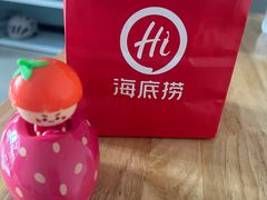 -海底捞火锅(高科东路店)