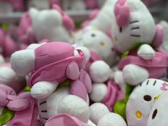 -杭州Hello Kitty乐园