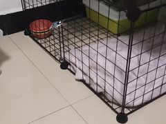 -北京恒爱动物医院(清景园分院)