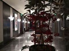 -天然台1908(中建广场店)