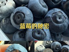 -沈阳市八家子水果批发市场