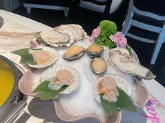 翡翠鲍鱼-汤城·料青山
