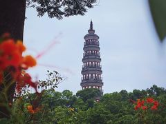 -顺峰山公园