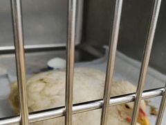 -瑞派·关忠动物医院·异宠专科·犬猫肿瘤·皮肤专科(望京店)