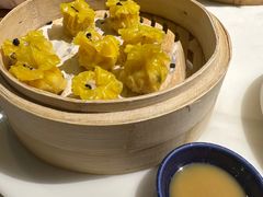 -点都德·毕德寮