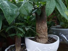 -高铁便当(长白街店)