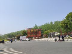 -合肥滨湖国家森林公园