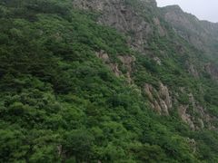 -燕塞湖鸟语林景区
