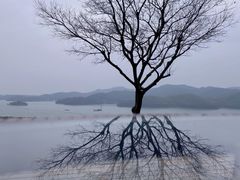 -天目湖涵田度假村