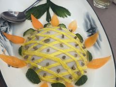 -丁老爷子苏香圆